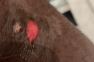 阿里纳斯：抢七看好经验更丰富的雷霆 文班每场的表现起伏太大